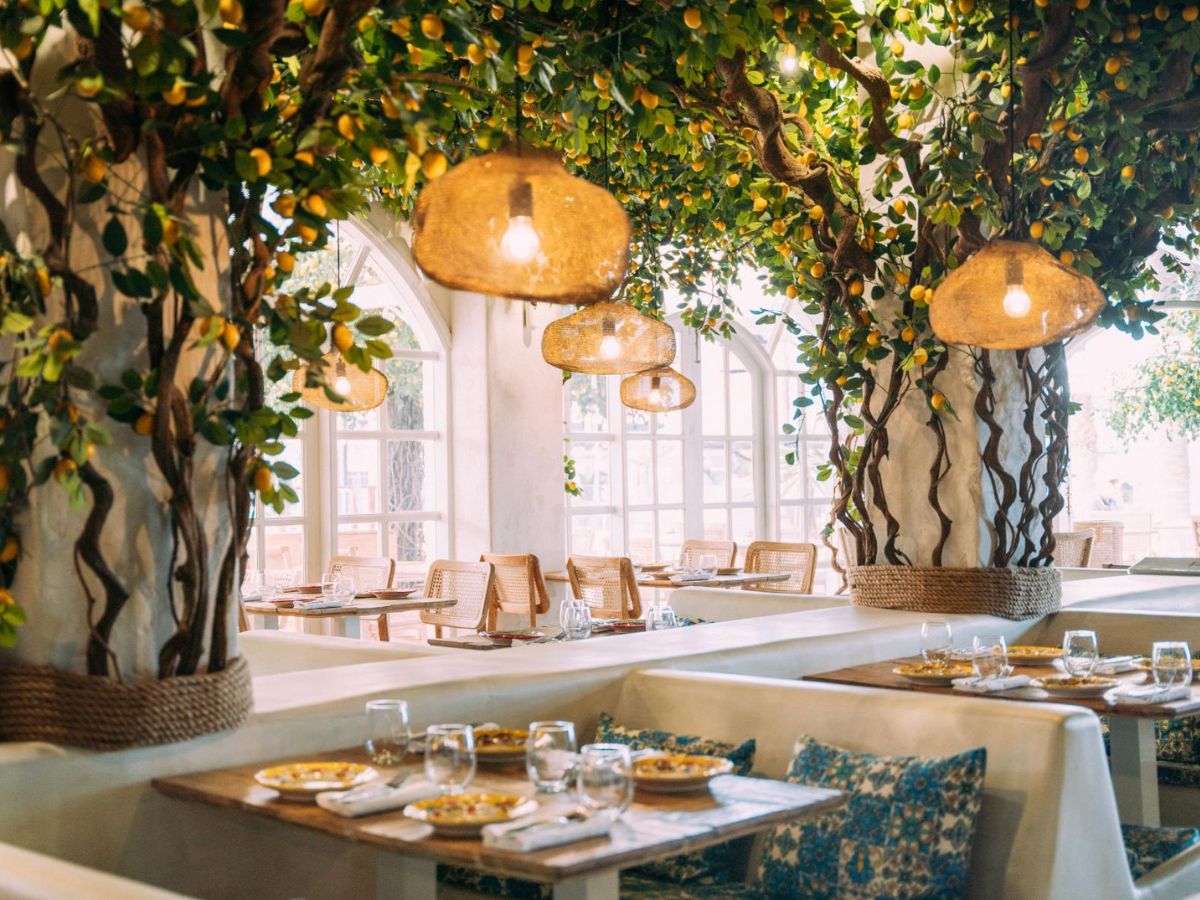 Italian restaurants in South Tenerife